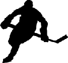 hockey player