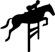 Jumping Horse