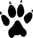wolf paw