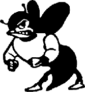 yellowjacket